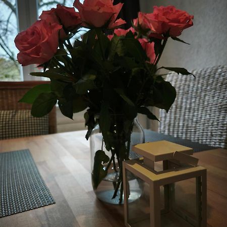 Hehlentor-City Gaeste Wohnung Celle Zewnętrze zdjęcie